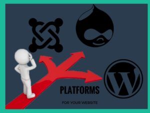 choosing platforms for your website
